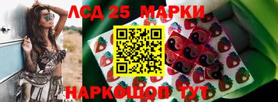шишки Лесосибирск