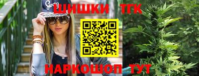шишки Лесосибирск