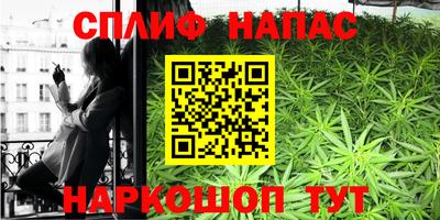 шишки Лесосибирск