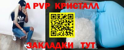 шишки Лесосибирск