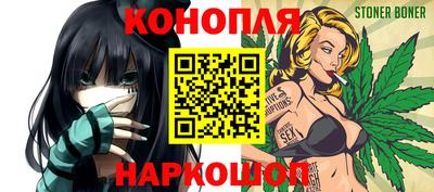шишки Лесосибирск