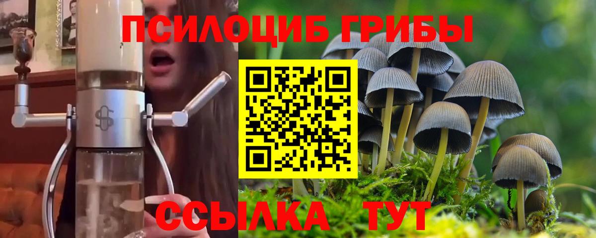 Ангарск  Псилоцибиновые грибы Psilocybe  Вход с VPN 